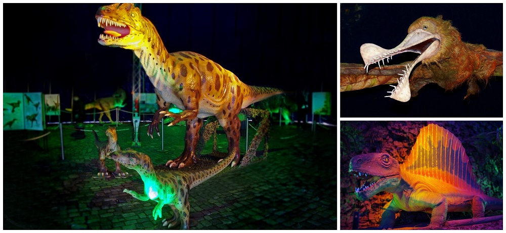 Dinosaures à Munich © Dinosaurier im Reich der Urzeit