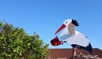 Cigogne livreuse de bébé
