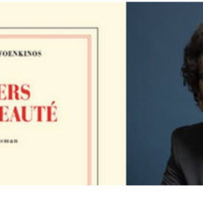 Vers la beauté, nouveau roman de David Foenkinos