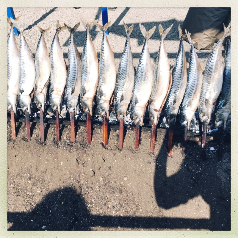 Oktoberfest © Sonia Aumiller