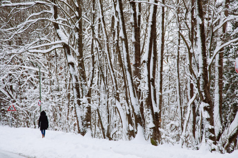 munich sous la neige © celine theret munich sous la neige © celine theret