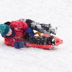 Plaisir de la luge