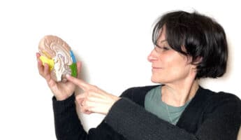Linda Lebrun montrant un cerveau en coupe