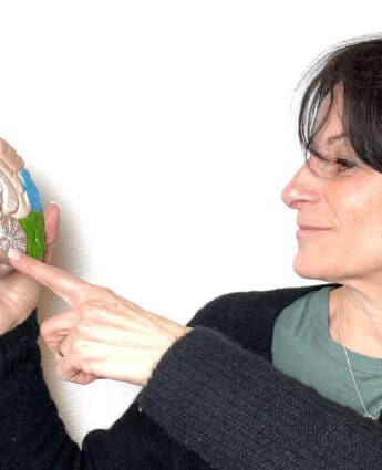 Linda Lebrun montrant un cerveau en coupe